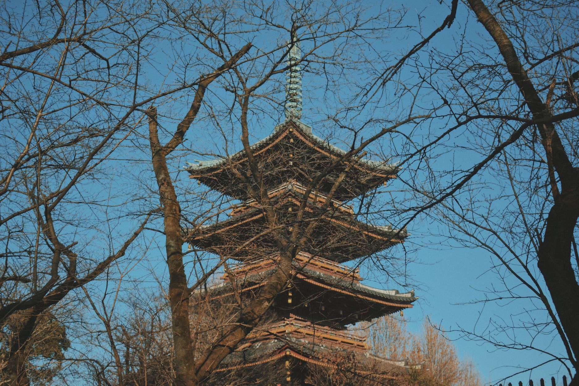 东京上野公园好玩吗,东京上野公园景点怎么样_点评_评价【携程攻略】