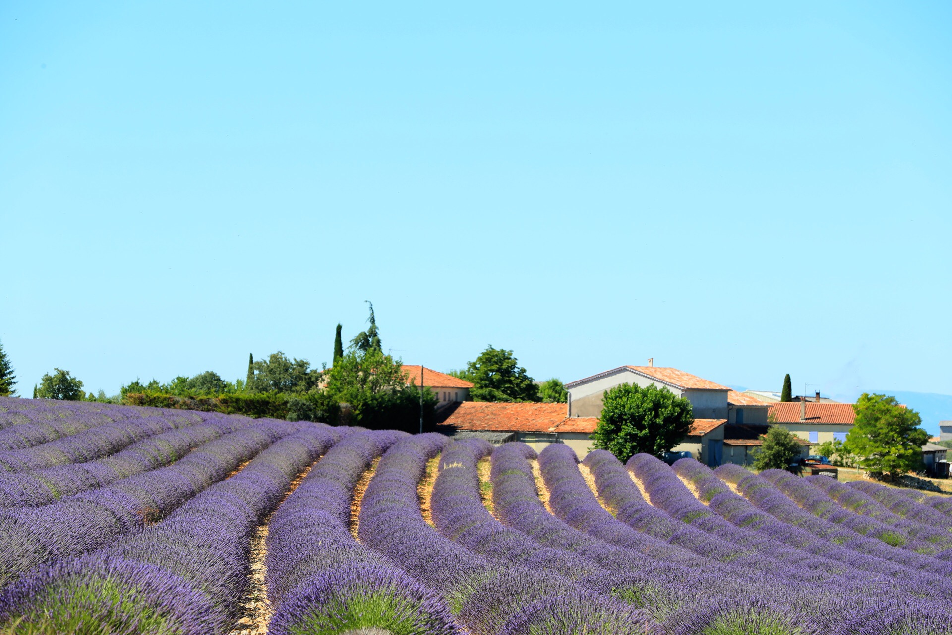 普罗旺斯普罗旺斯好玩吗,普罗旺斯普罗旺斯景点怎么样_点评_评价