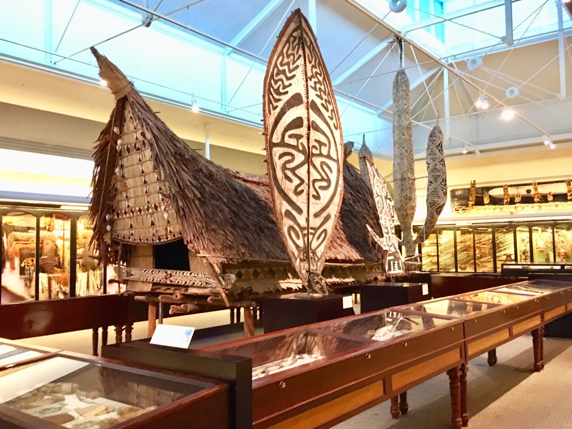 南澳大利亚博物馆(south australian museum) 位于