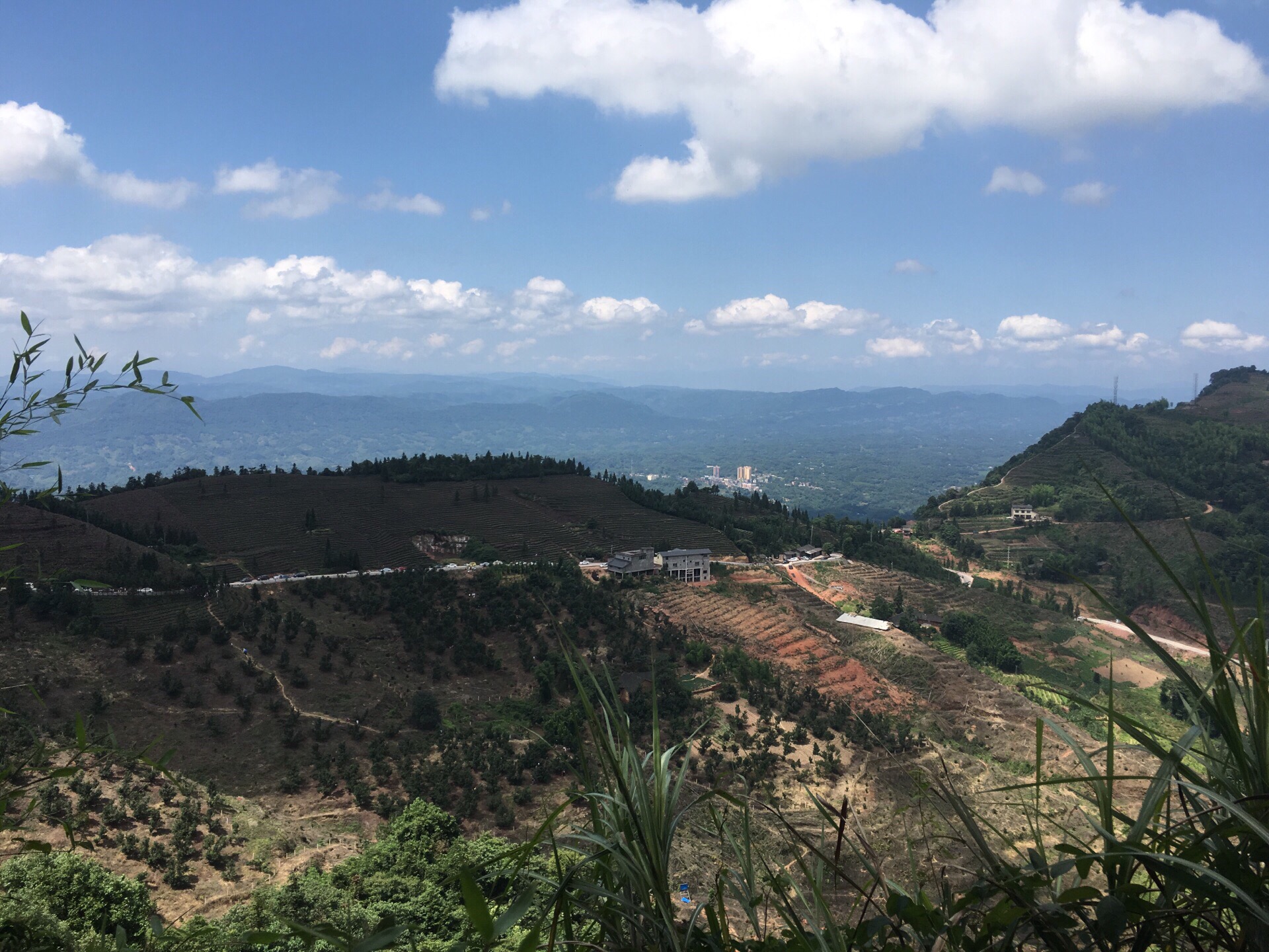 普照山寺 直线距离11.9km