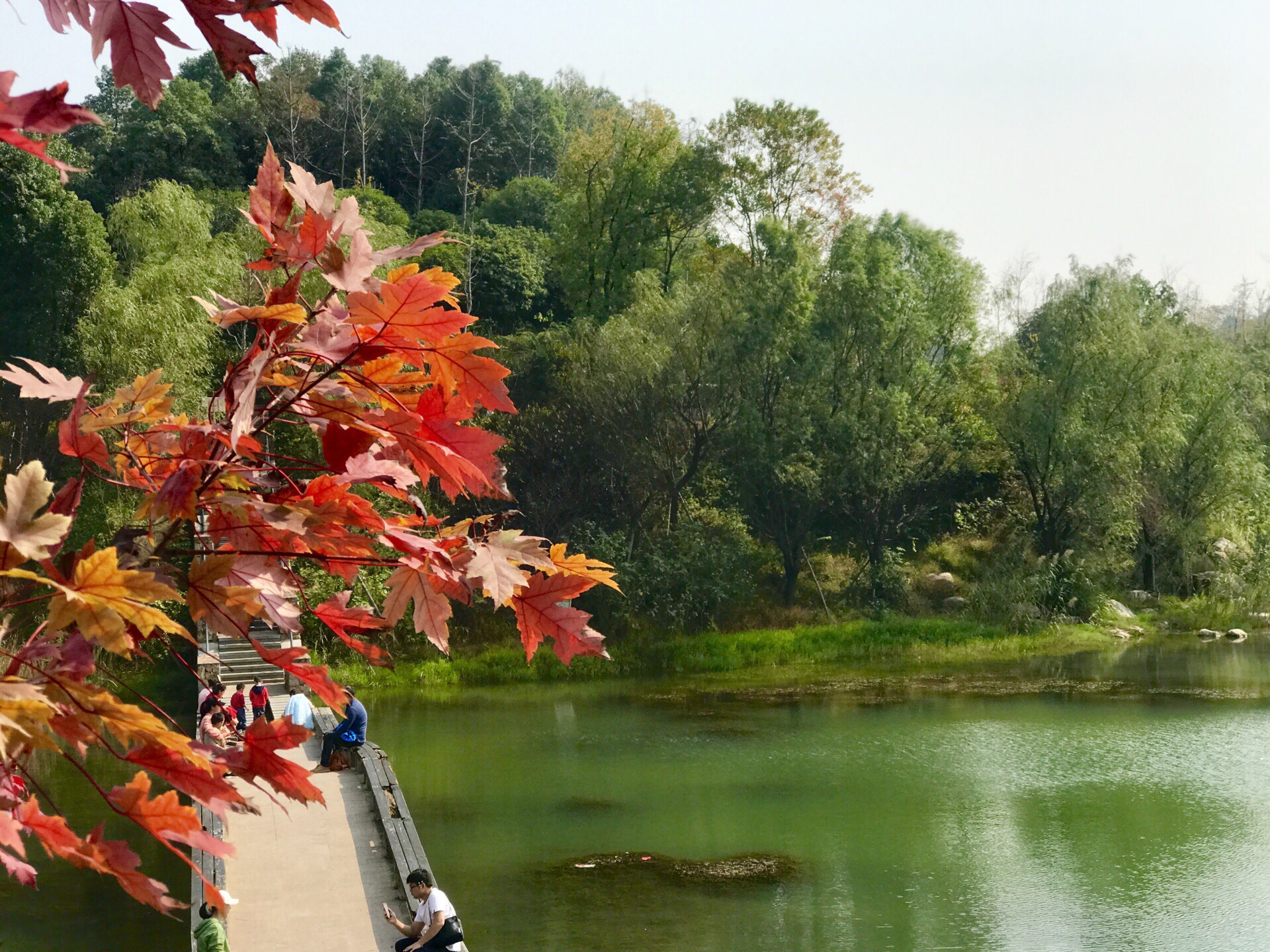 规划面积3000亩的尖山湖公园,目前已开发第一期800亩,以鱼婆塘水库为