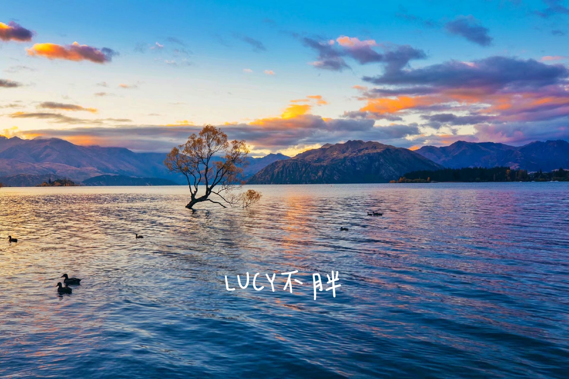 Lone Tree Of Lake Wanaka Travel Guidebook Must Visit Attractions In Wanaka Lone Tree Of Lake Wanaka Nearby Recommendation Trip Com
