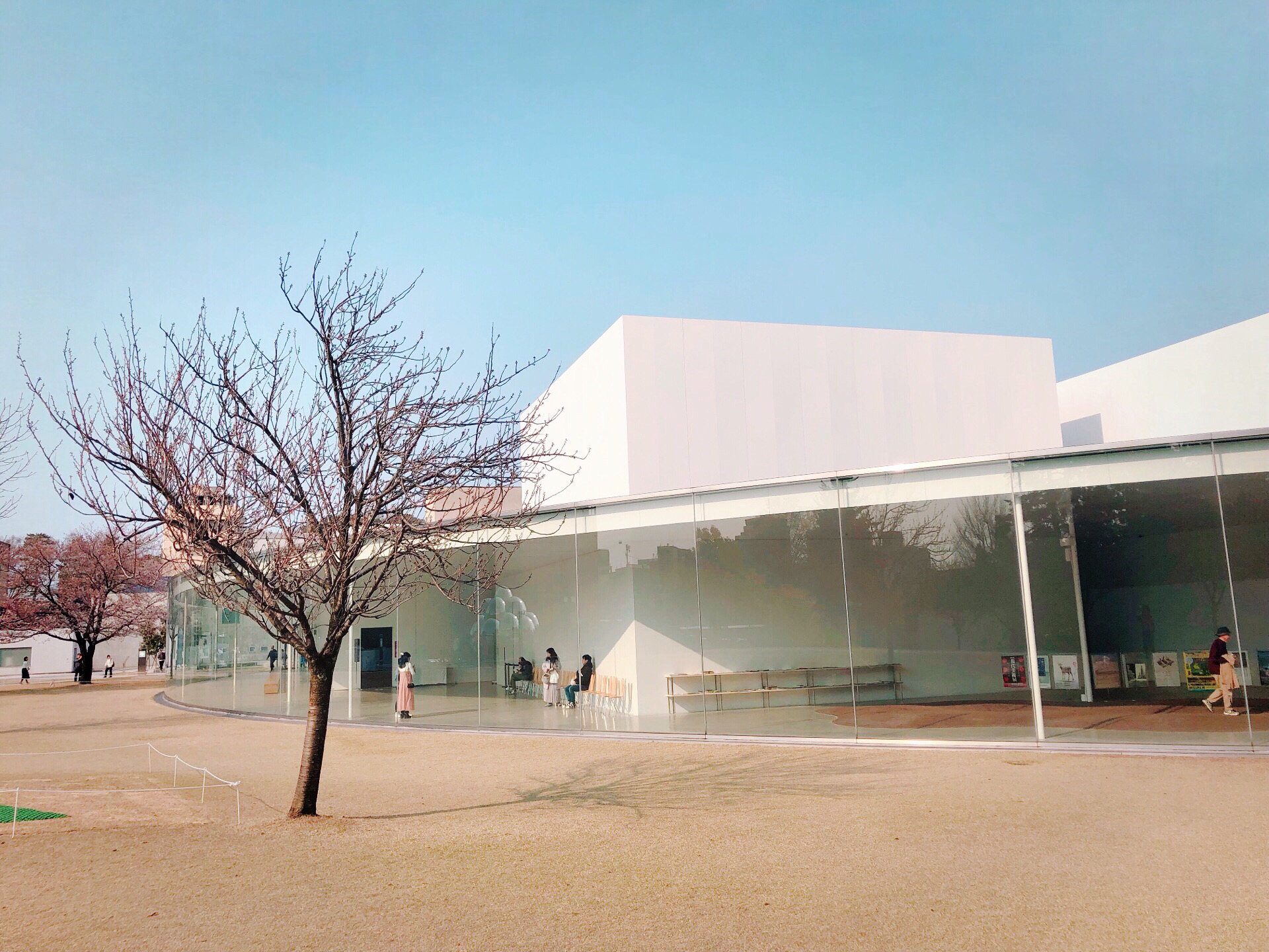 金泽21世纪美术馆