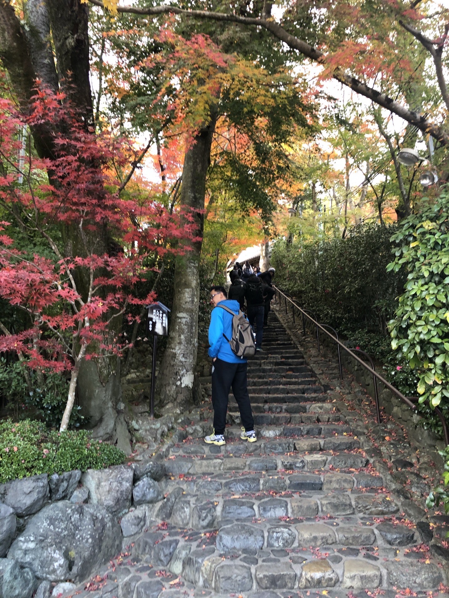 铃虫寺