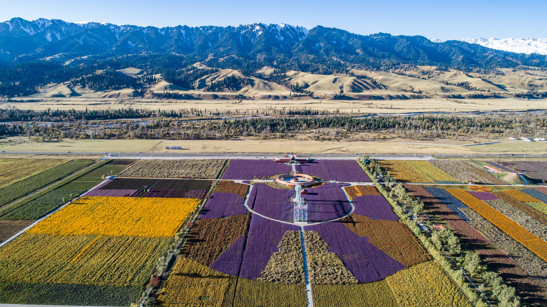 伊犁霍城薰衣草好玩吗,伊犁霍城薰衣草景点怎么样_点评_评价【携程