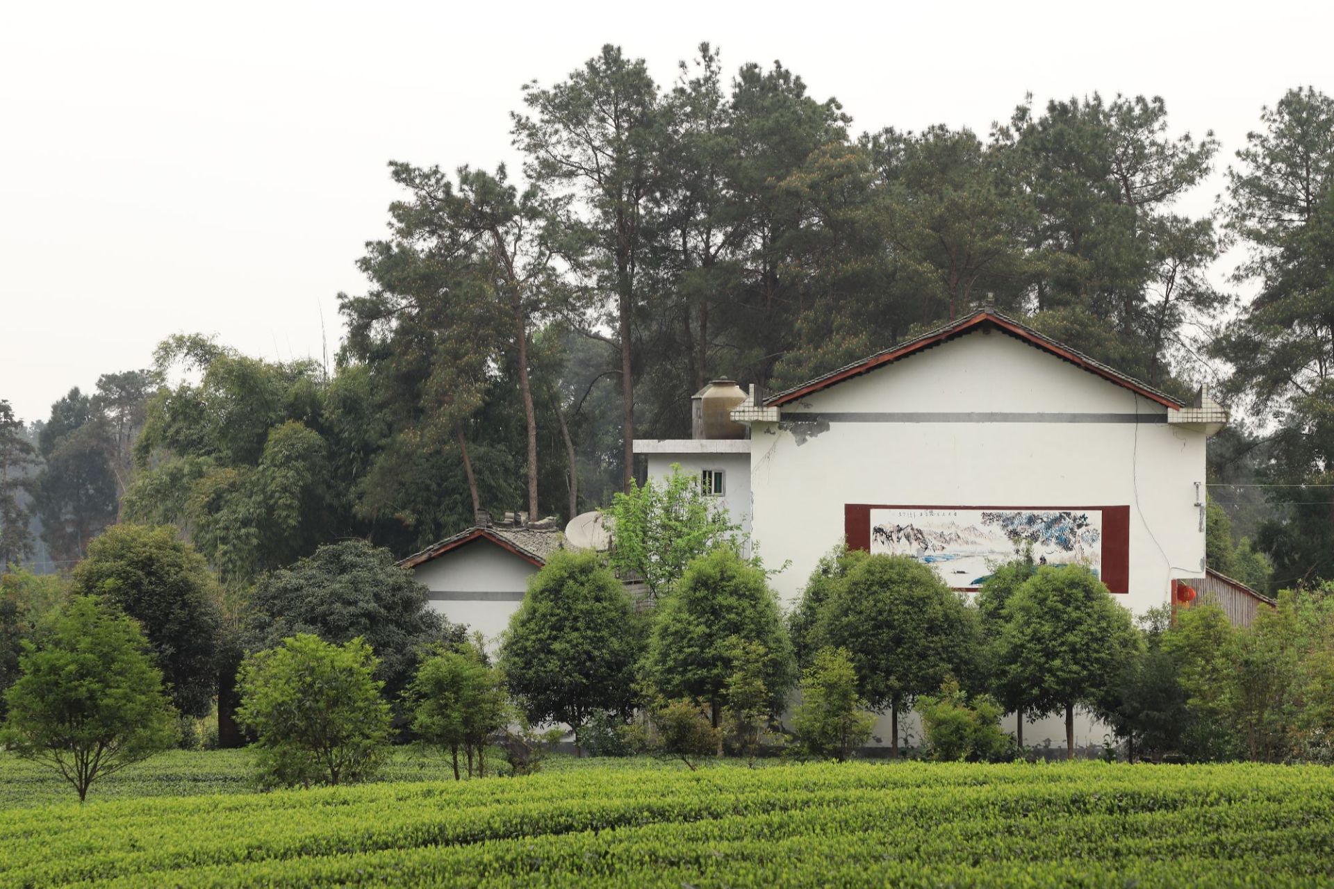 2019年4月初成都蒲江县成佳茶乡绿道景观.