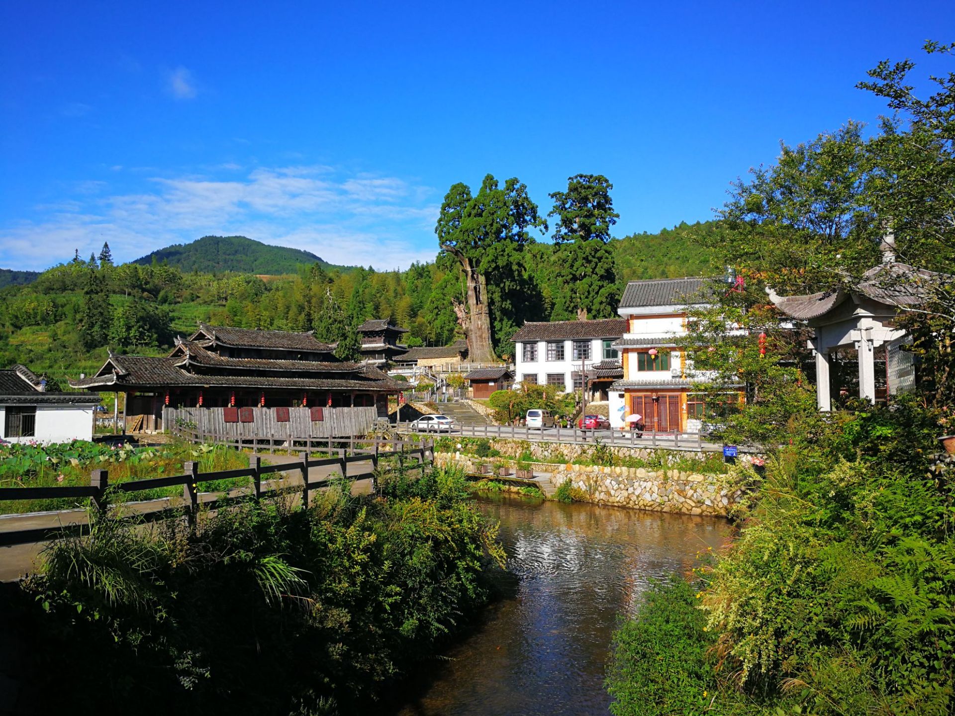 景宁云中大景区,景宁大风景区_大山谷图库