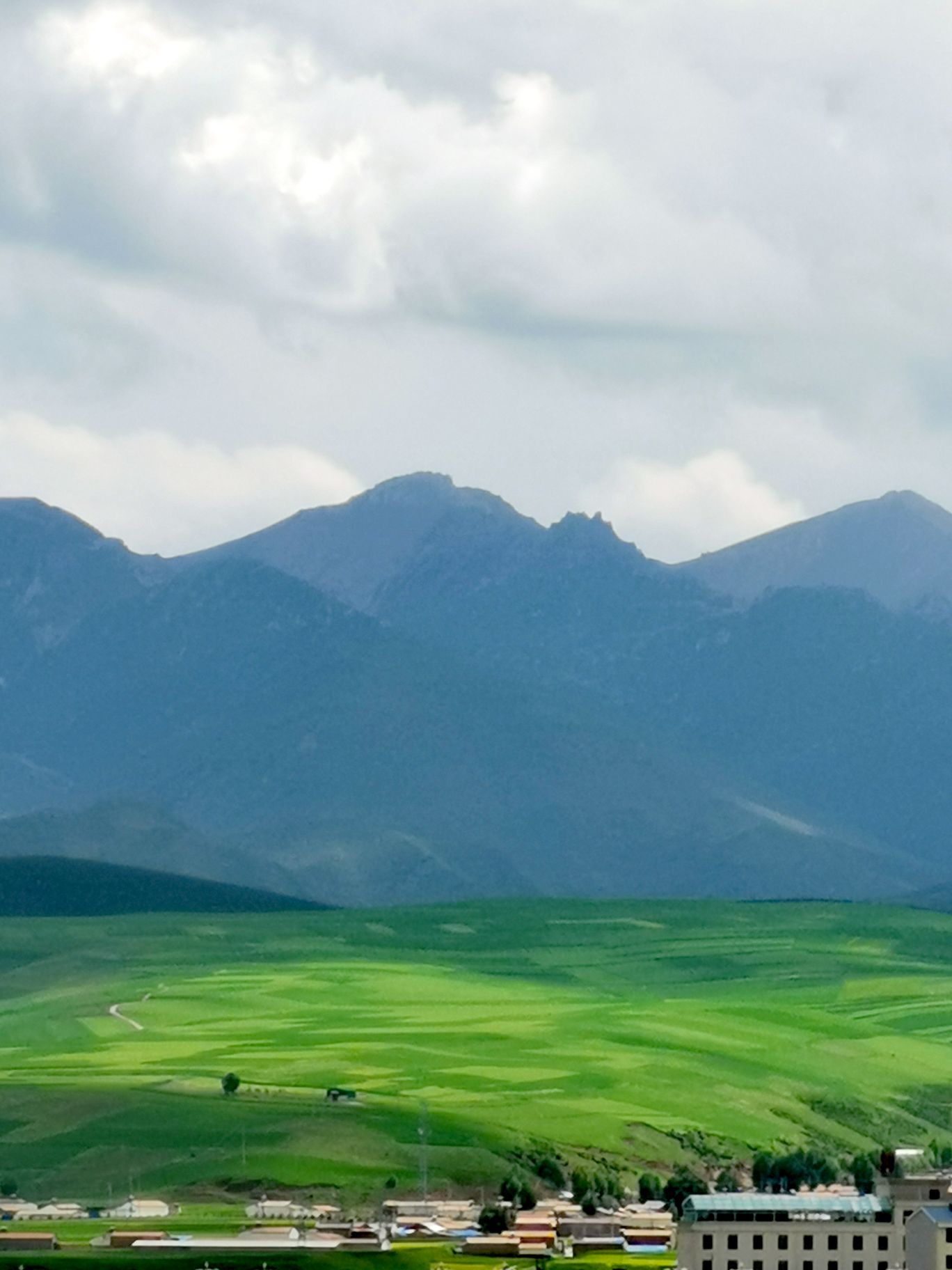 【携程攻略】门源门源百里油菜花海景点,为了心心念的油菜花海来到