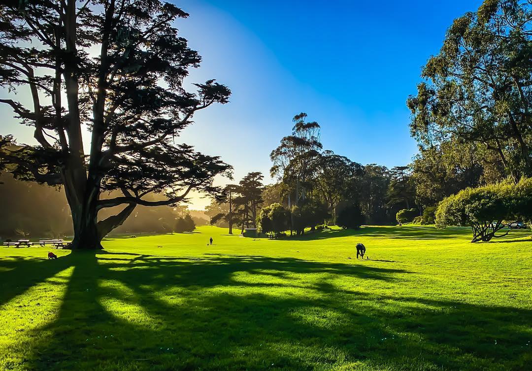 【携程攻略】旧金山金门公园景点,来旧金山,欣赏最美公园 这个暑假,我