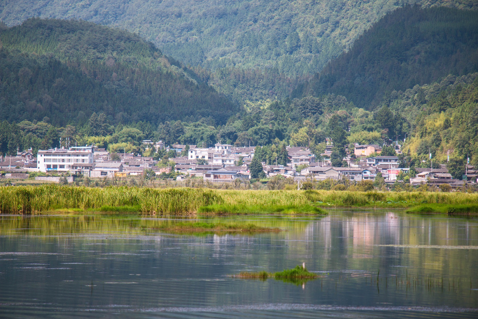 土左旗北海流湿地图片