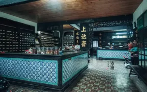 泰州與興化3日遊：溱潼古鎮及李中水上森林美景