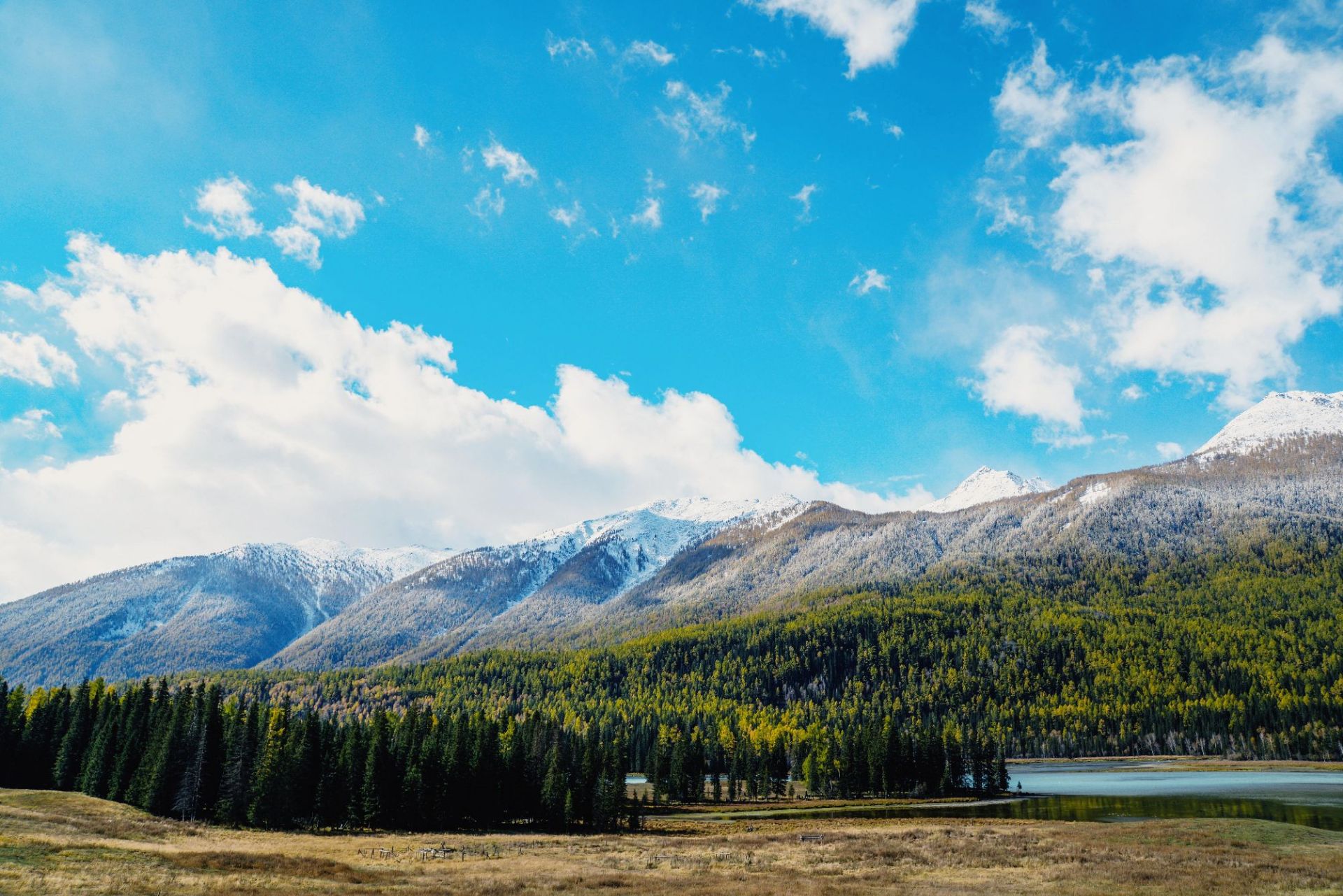【携程攻略】喀纳斯神仙湾景点, 神仙湾的湖水名叫鸭泽湖