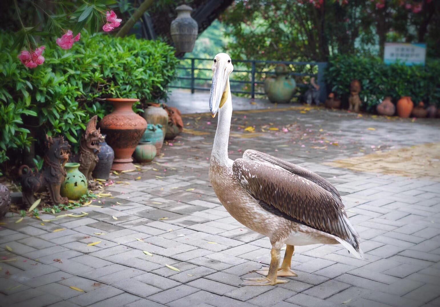 南沙水鳥世界生態公園