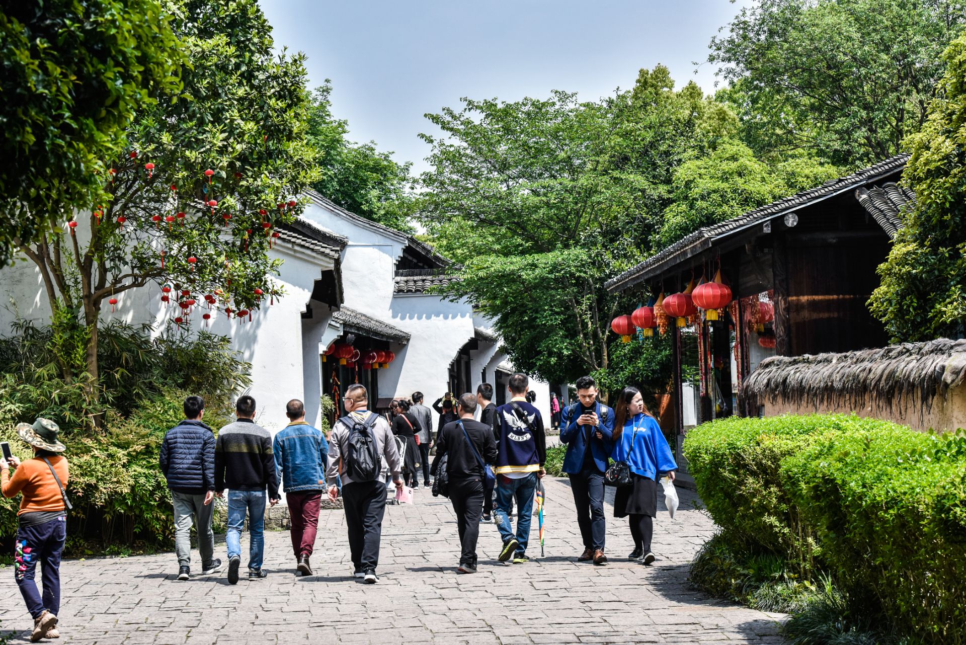 西溪湿地河渚街图片