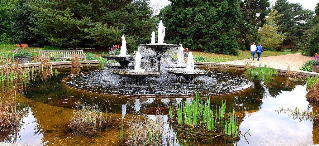 剑桥大学植物园