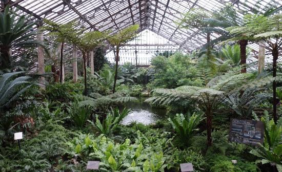 【携程攻略】芝加哥加菲尔植物园景点,多种类植物齐聚的植物天堂 