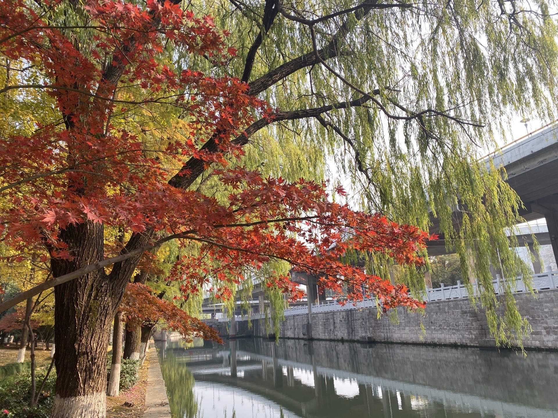 【携程攻略】绍兴河清园景点,金秋十月,秋风送爽,树