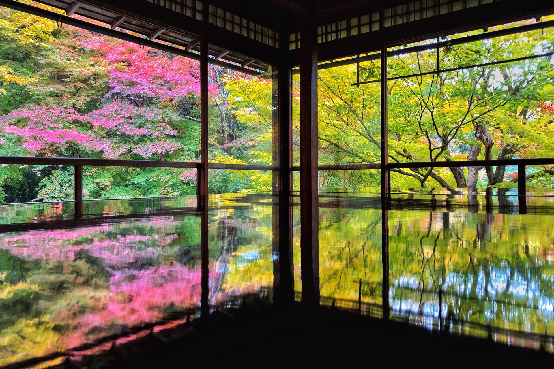 日本京都琉璃光院图片