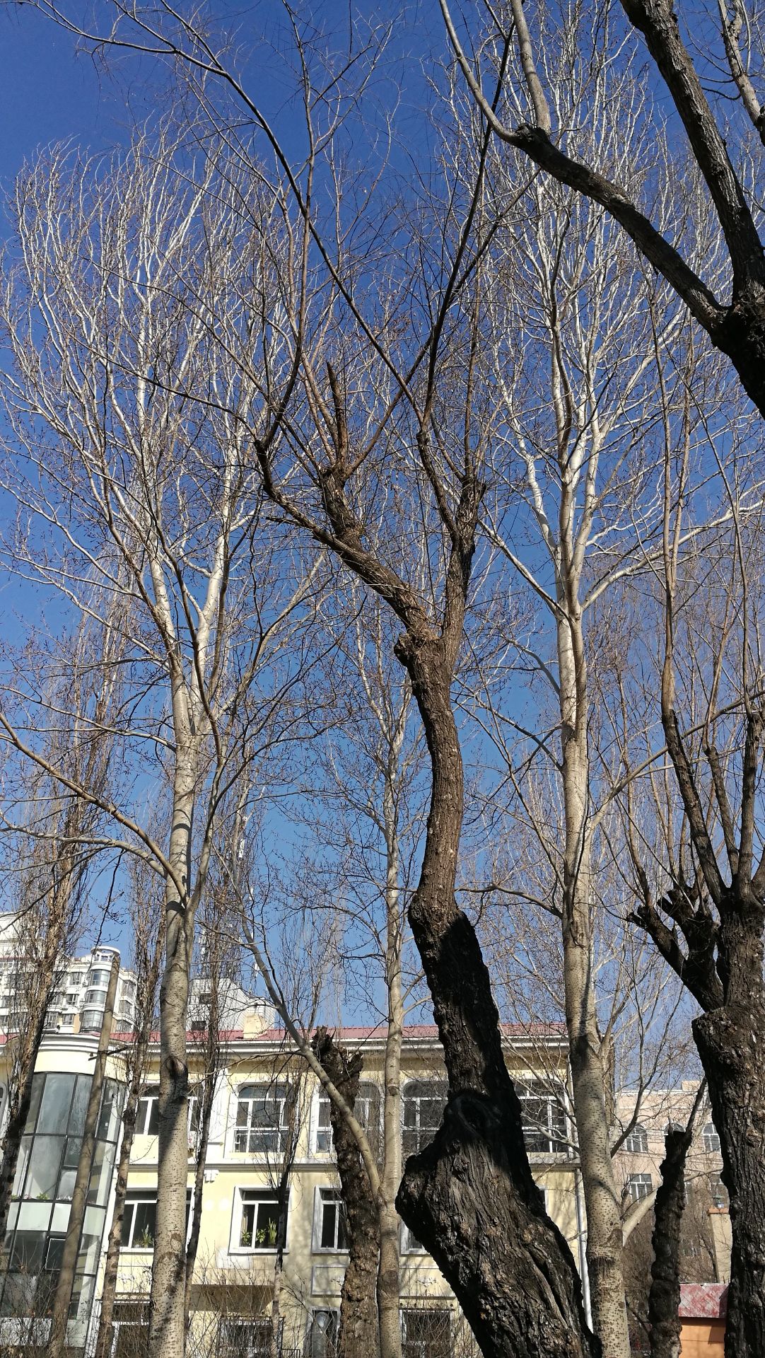 阳光浴场