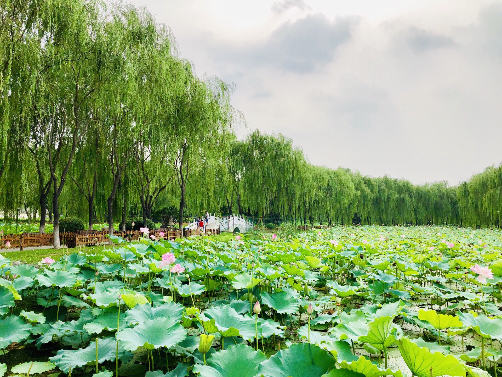 北京东升八家郊野公园好玩吗,北京东升八家郊野公园景点怎么样_点评_
