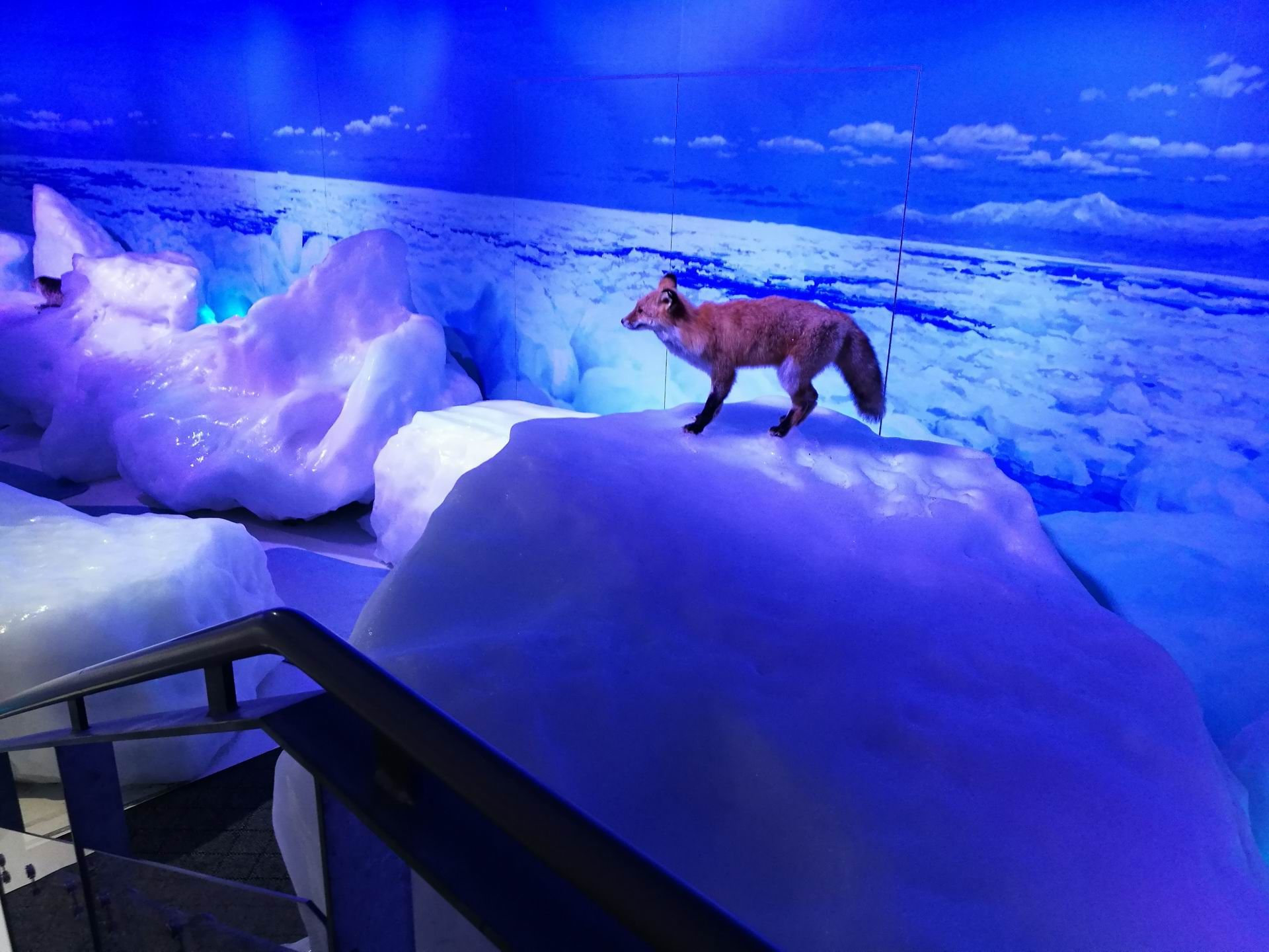 网走鄂霍茨克流冰馆好玩吗,网走鄂霍茨克流冰馆