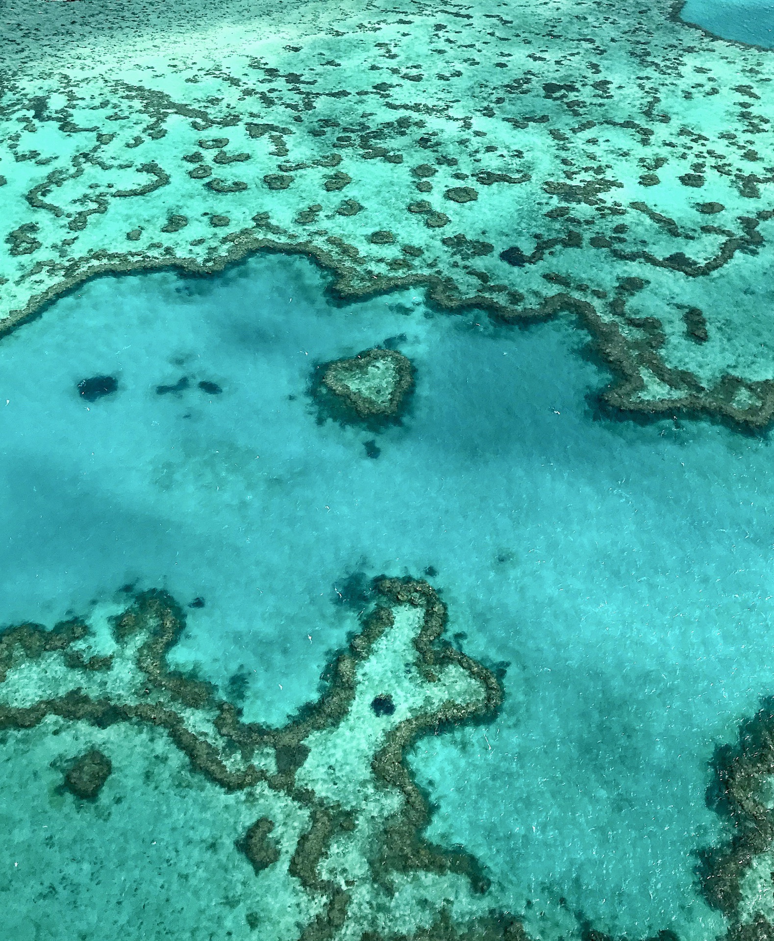凯恩斯大堡礁 | 澳大利亚昆士兰旅游官方网站