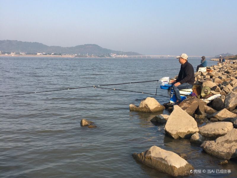 枞阳白荡湖湿地公园攻略-白荡湖湿地公园门票价格多少钱-团购票价预定