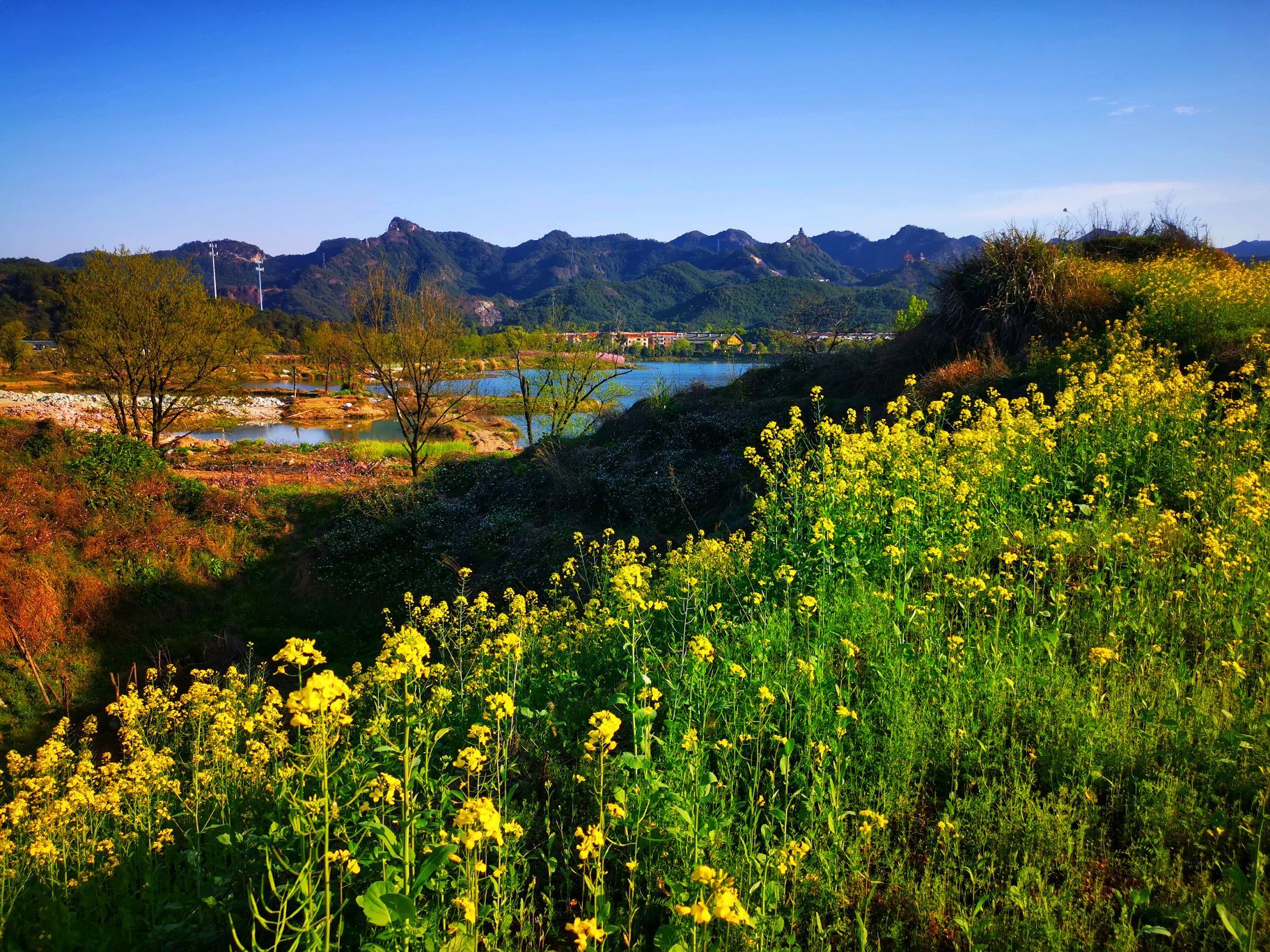 我们家乡的南溪湾公园,正在建设中.碧水绕青山,青山如眉黛.