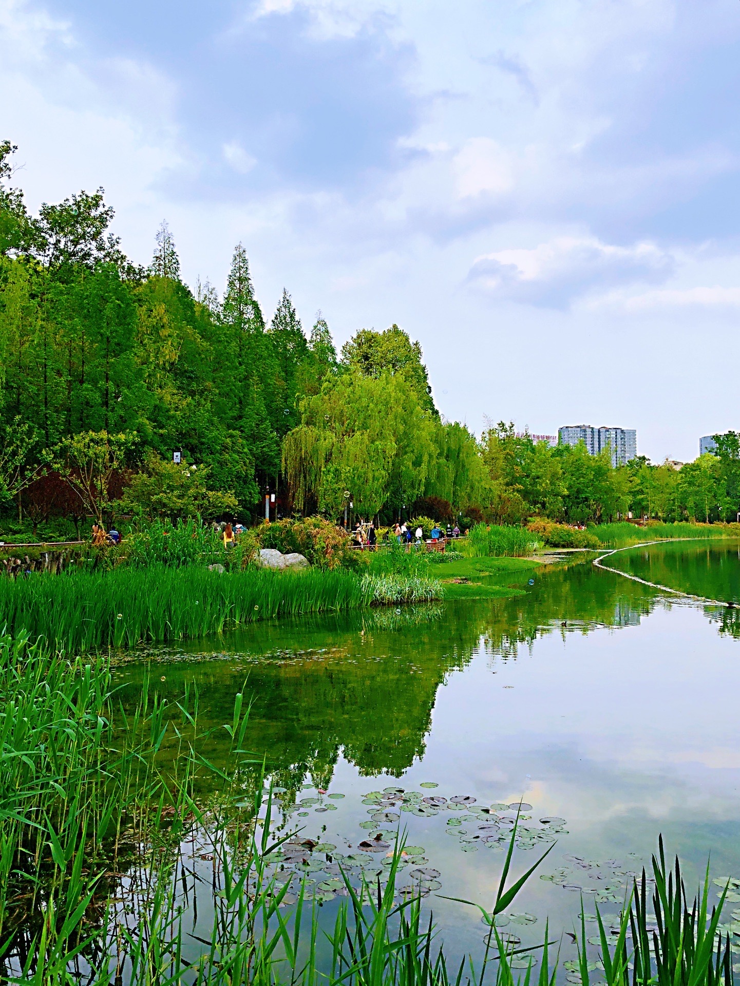 浣花溪公園