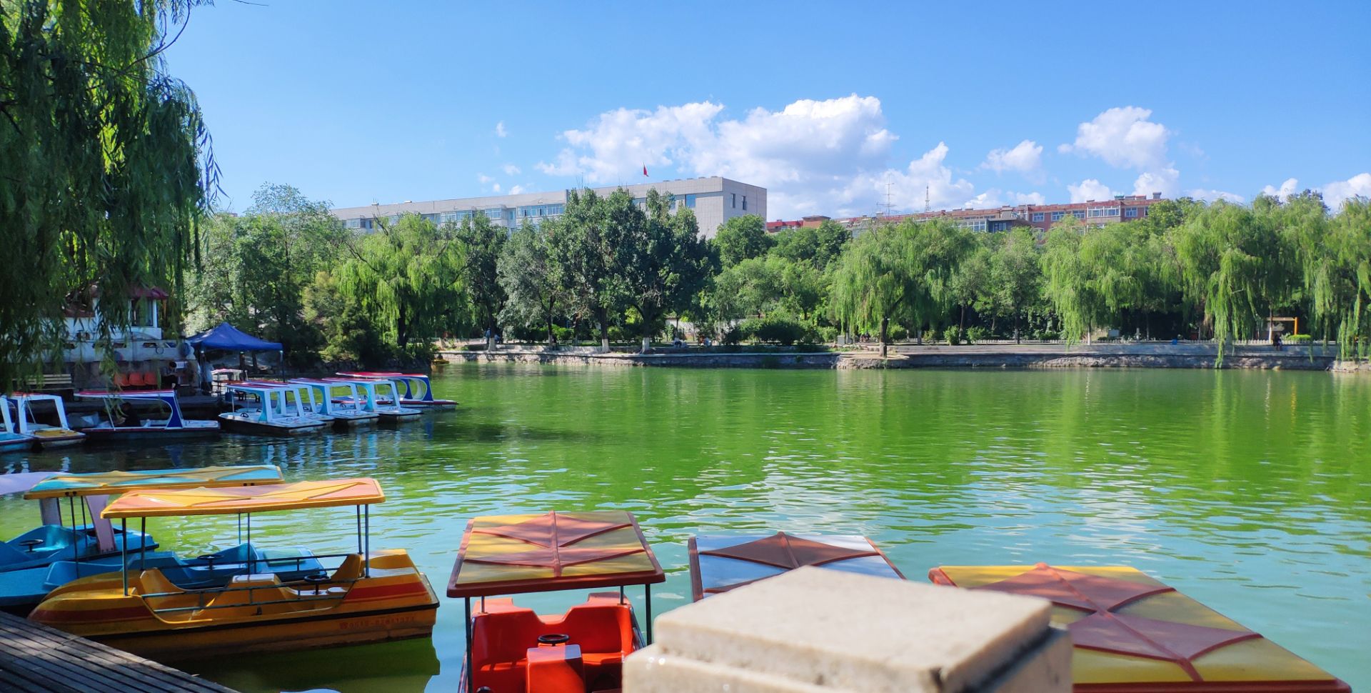 【携程攻略】张家口人民公园景点,这是我在去年假期随手拍的家乡的小