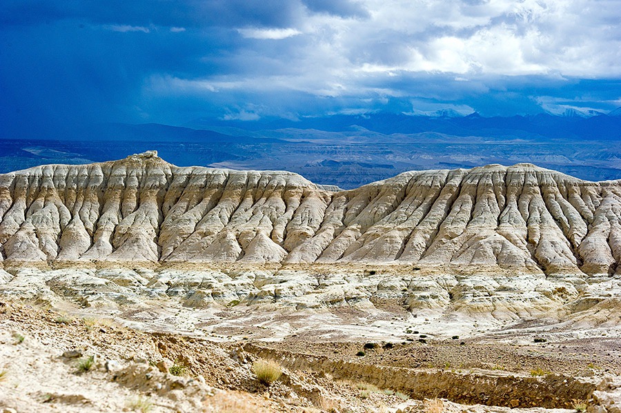 Tibet Ali Zanda soil forest