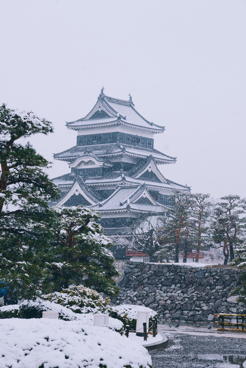 日本赏樱 你见过雪中的樱花吗 这次的日本追樱之旅 没想到到长野之
