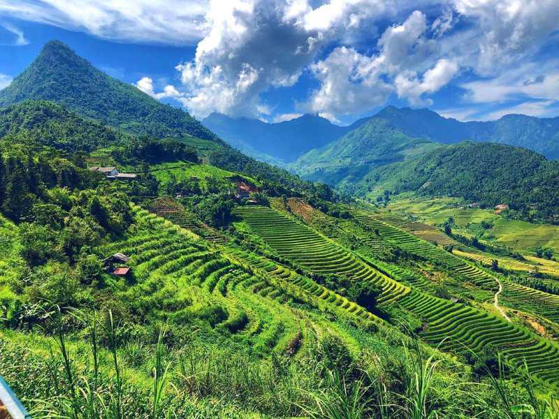 【越南旅游vlog】沙坝