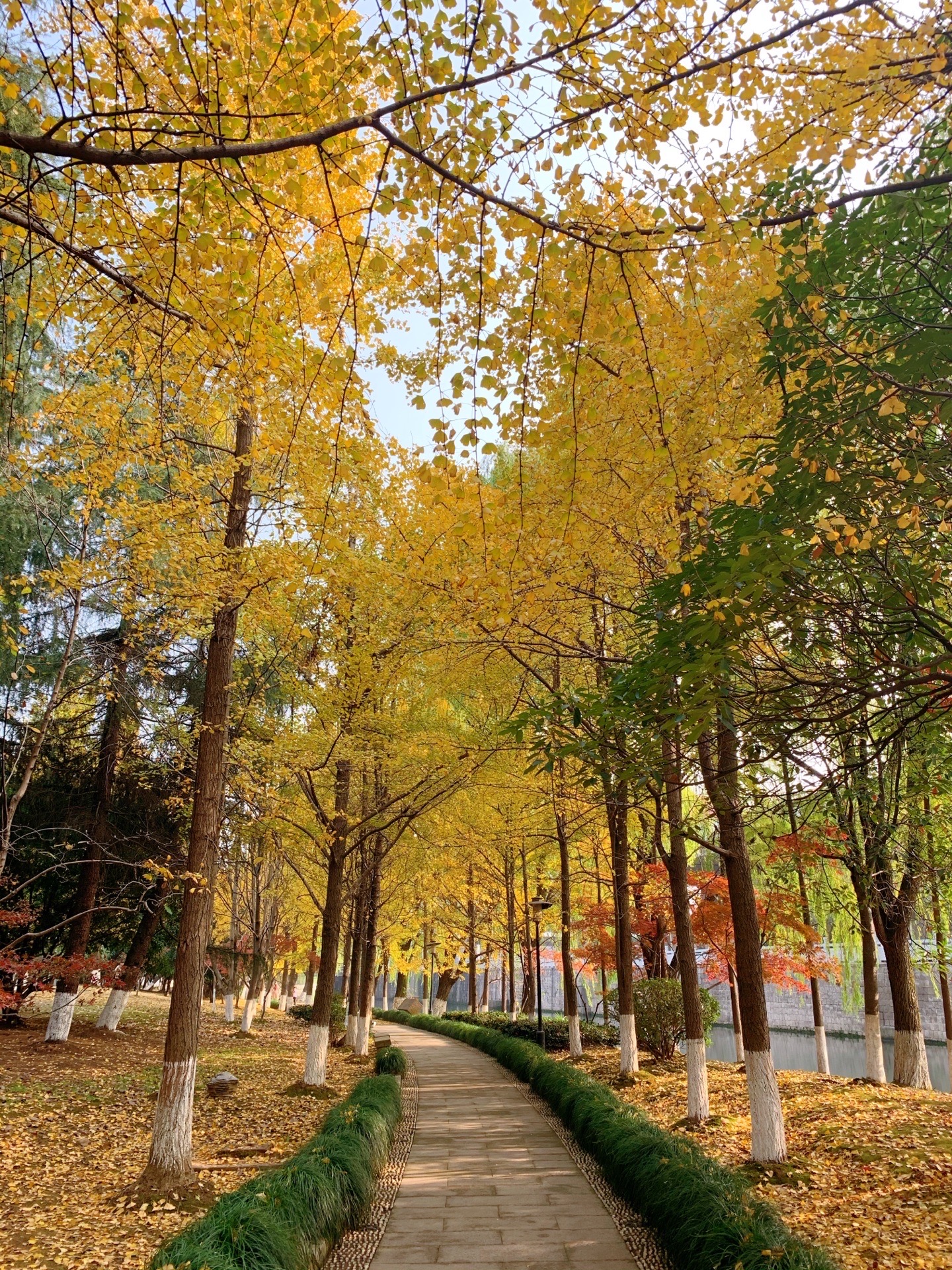 【携程攻略】绍兴河清园景点,金秋十月,秋风送爽,树