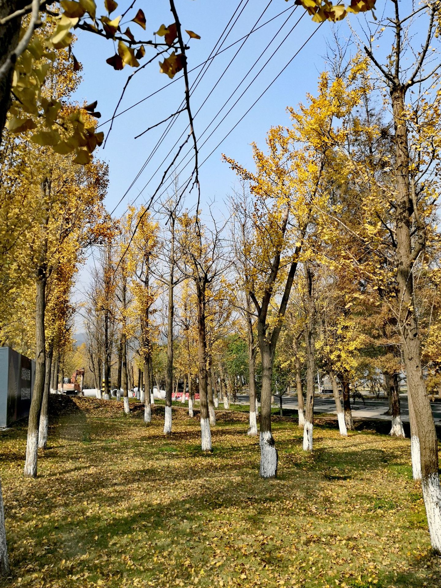 东钱湖水上乐园