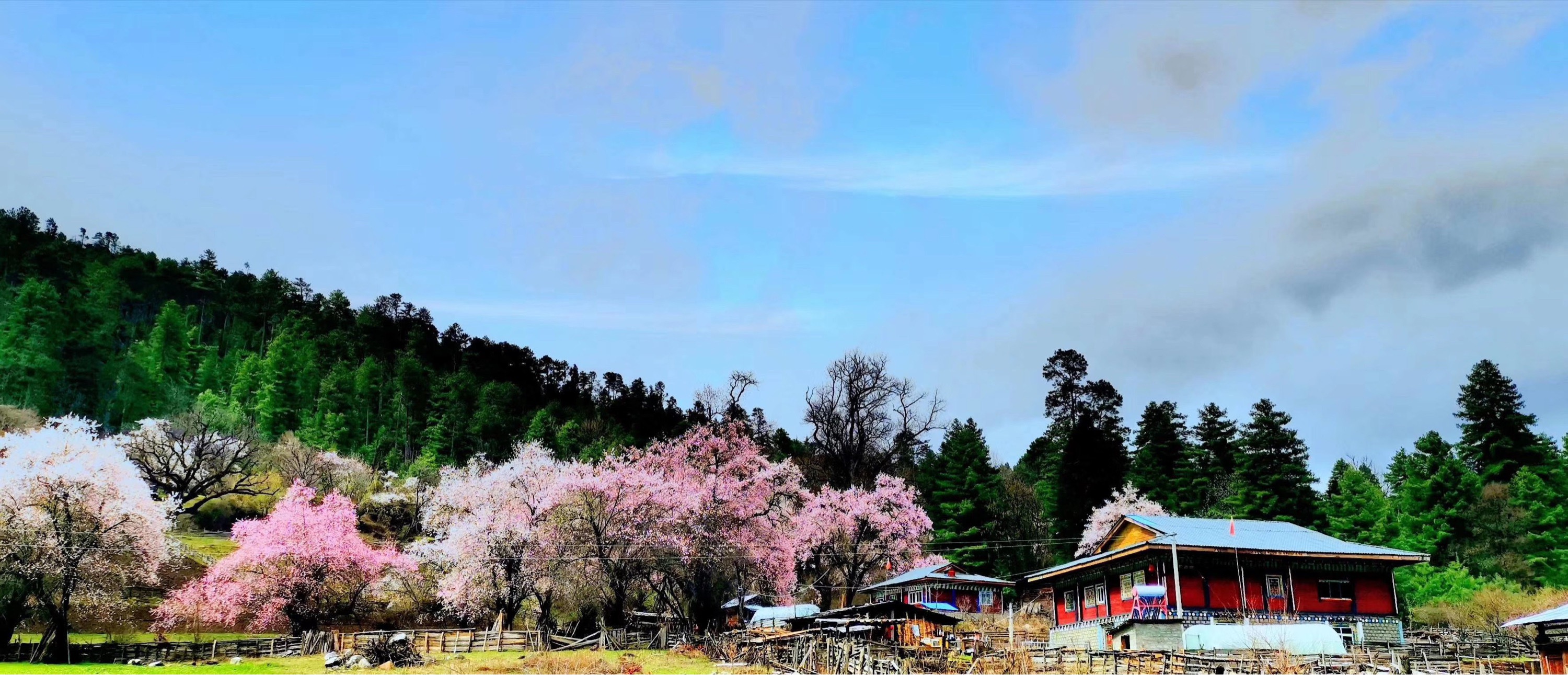 【携程攻略】波密巴卡村景点,西藏自治区林芝市波密县古乡辖行政村,辖
