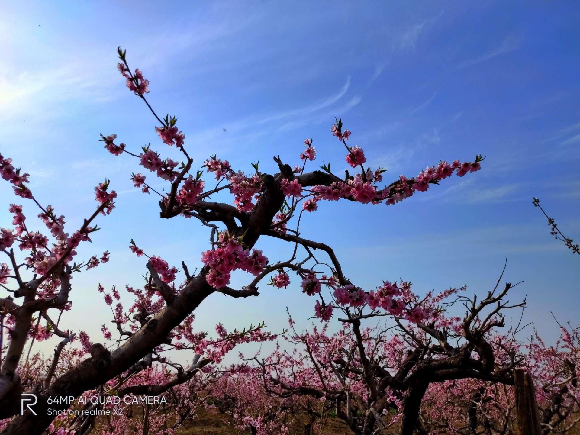 臨沂蘭山玫瑰湖汽車公園