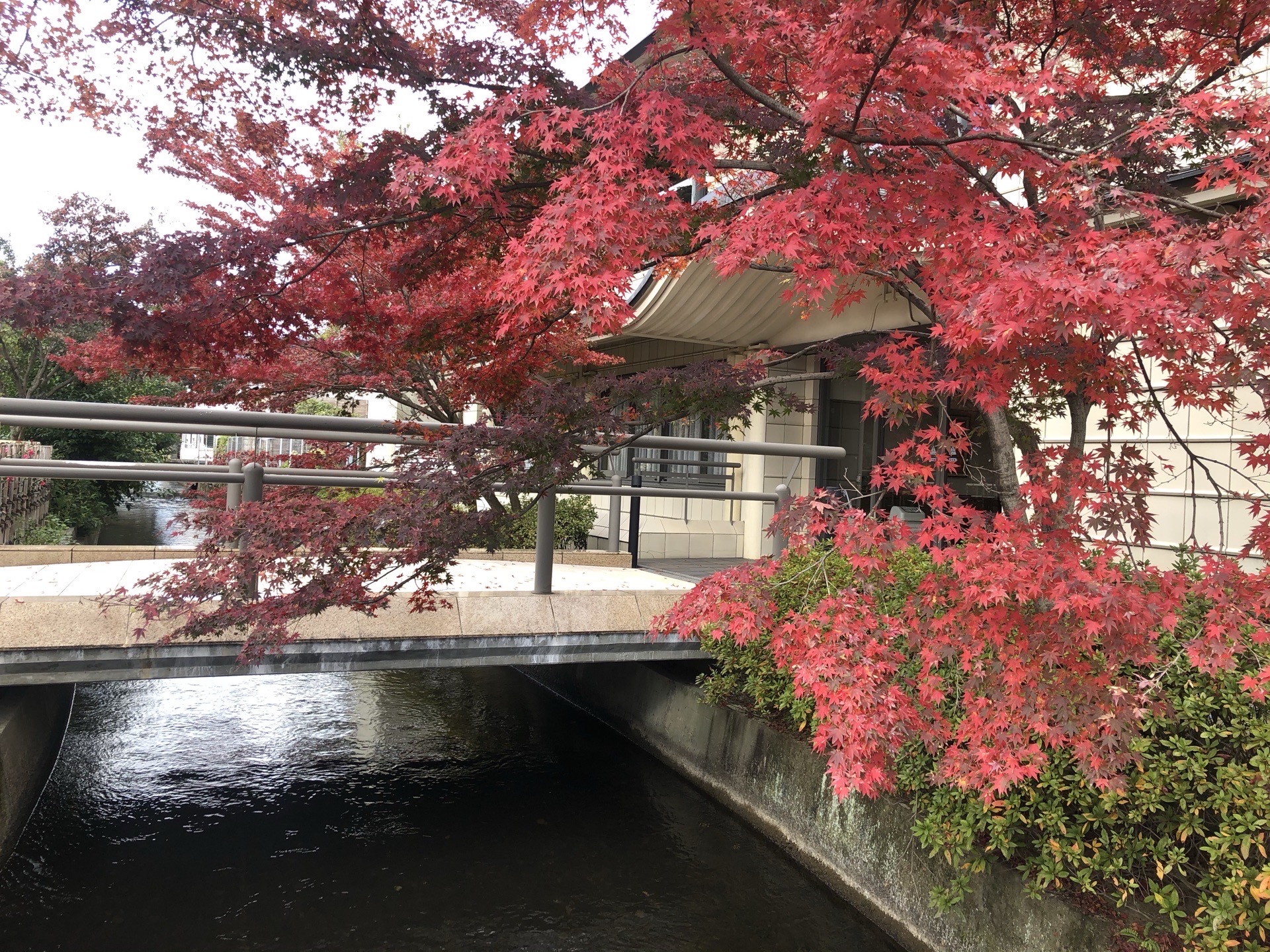 铃虫寺