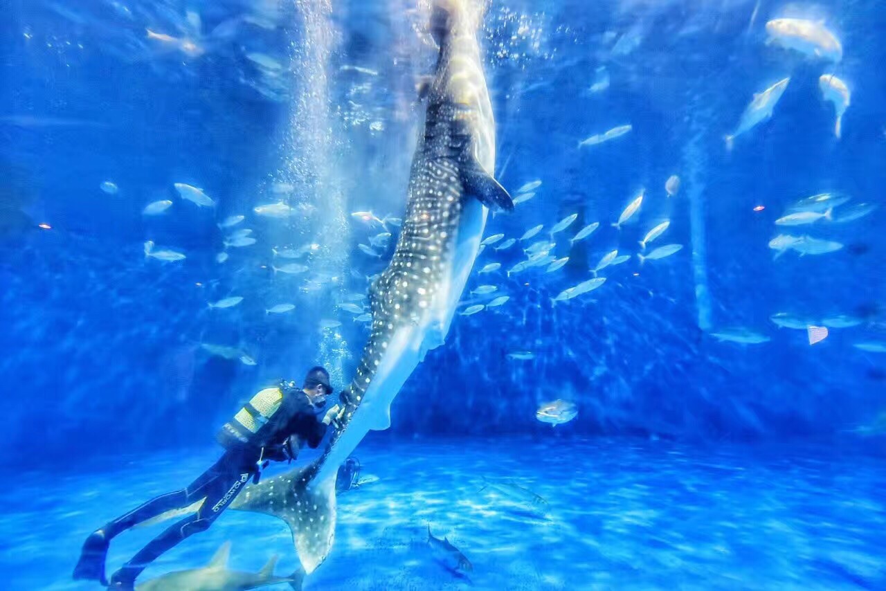 鹿儿岛水族馆