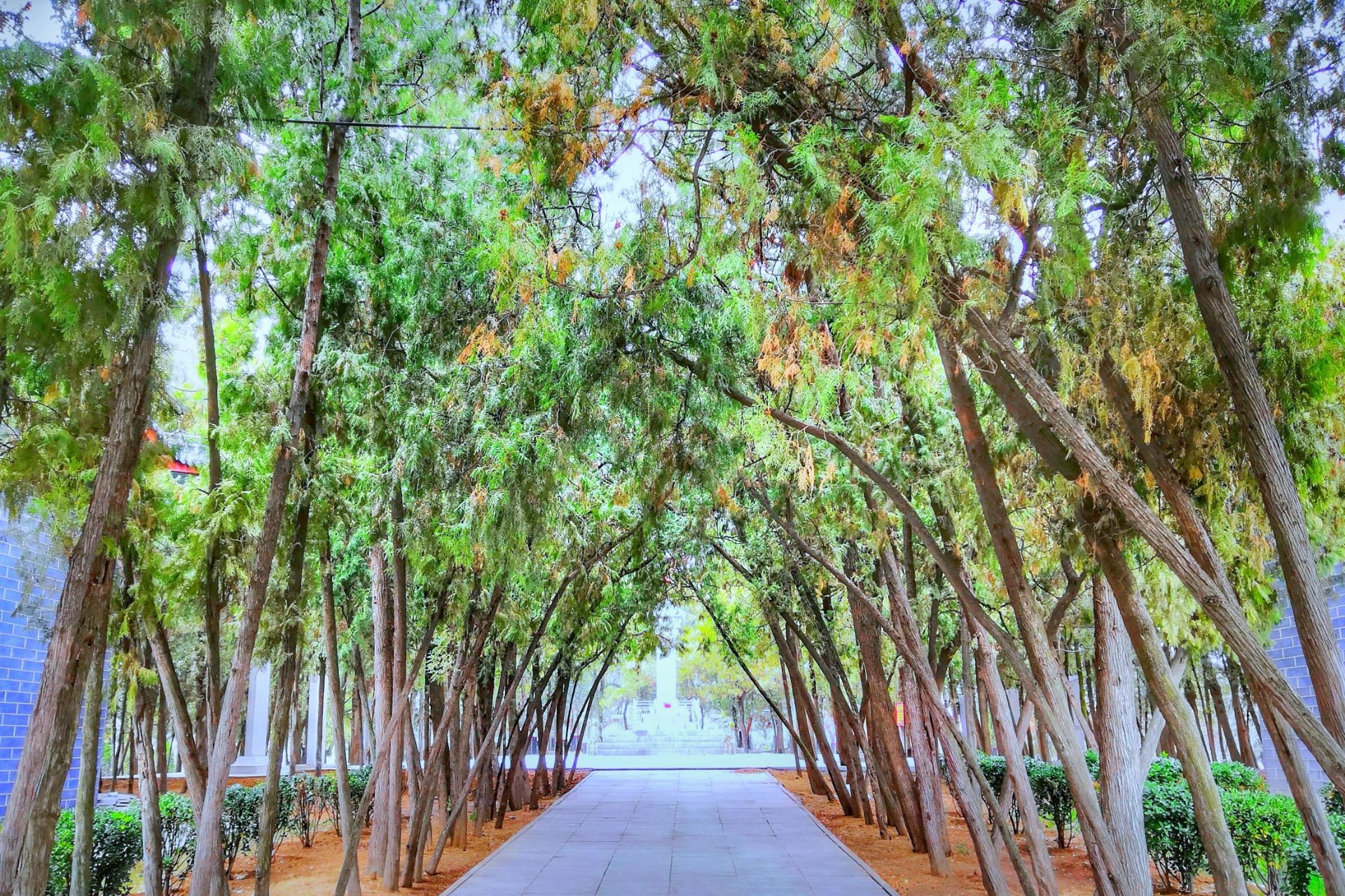 苏家崮抗日烈士纪念馆图片