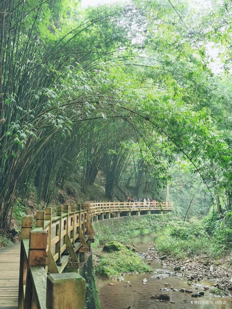 成都崇州 街子古镇 的"康道",就是健康步道意思.沿着这个润润