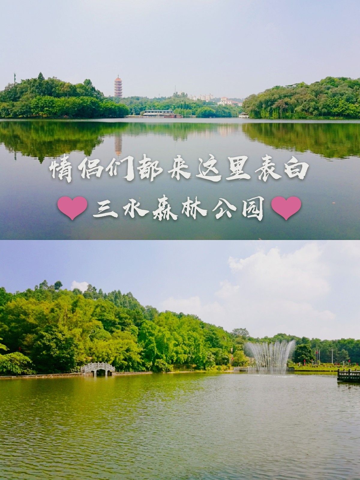 佛山三水森林公園攻略,佛山三水森林公園門票/遊玩攻略/地址/圖片