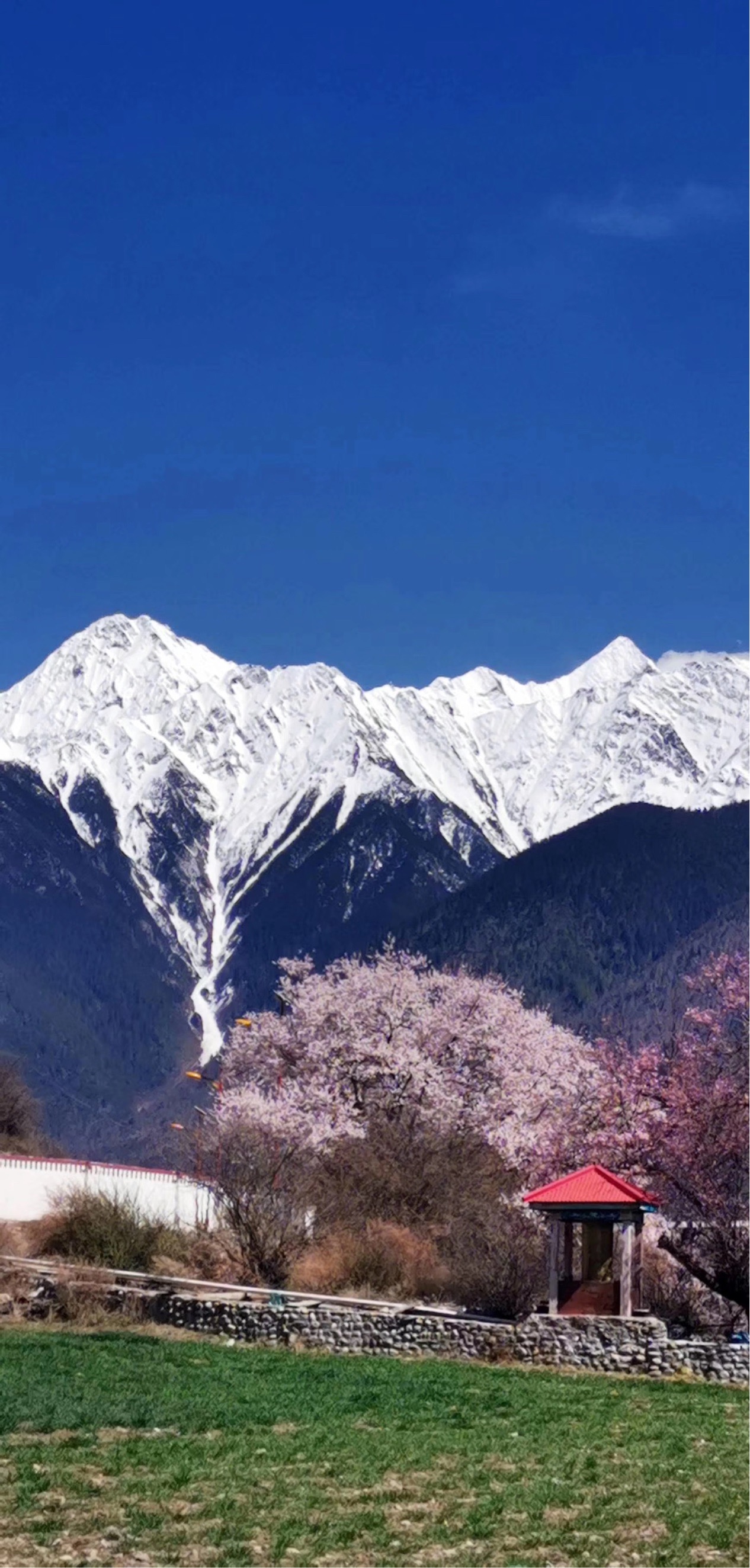 波密波密桃花沟好玩吗,波密波密桃花沟景点怎么样_点评_评价【携程