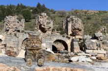 数千年历史，几十万人口，堪称土耳其庞贝的以弗所古城，大型浴室、万人戏院、神庙、图书馆、叹为观止，伴着