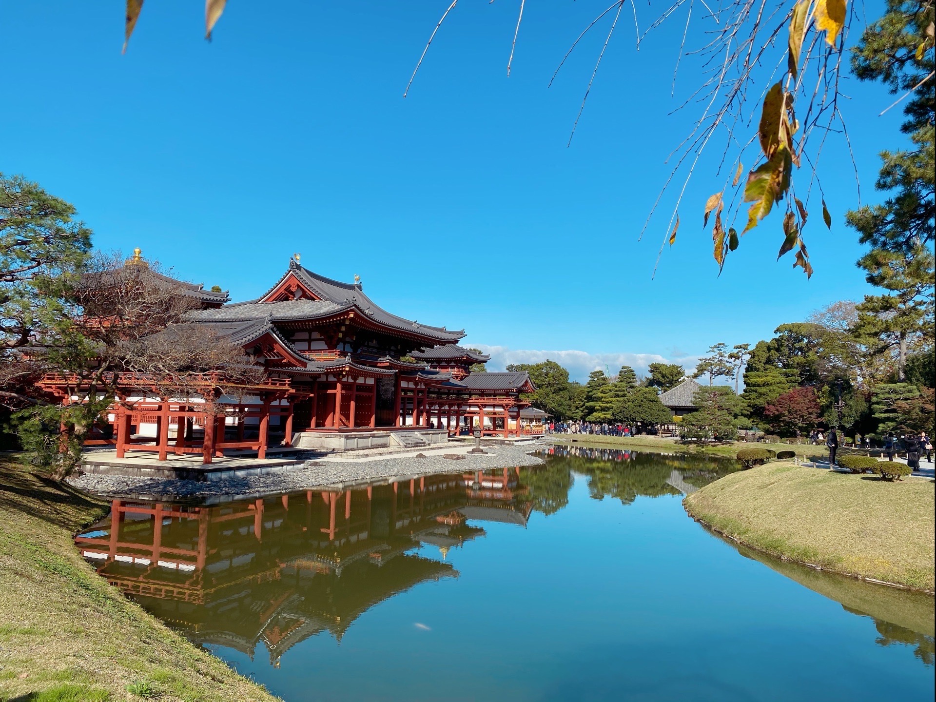 宇治市平等院好玩嗎,宇治市平等院景點怎麼樣_點評_評價【攜程攻略】