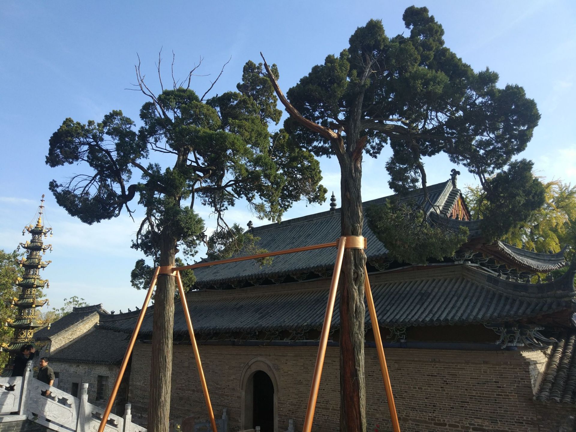 壽縣報恩禪寺好玩嗎,壽縣報恩禪寺景點怎麼樣_點評_評價【攜程攻略】