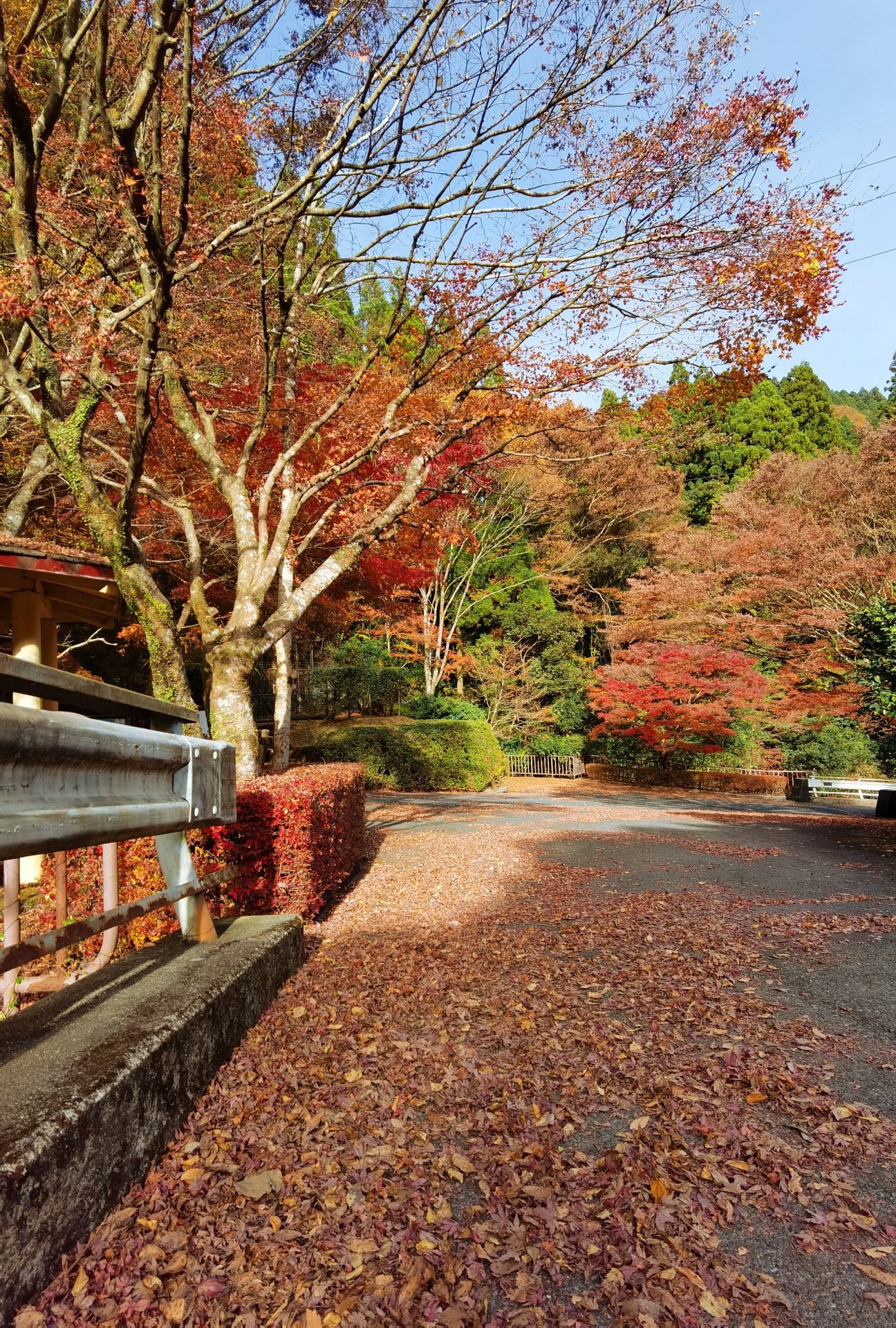 菊池市kikuchi gorge攻略,菊池市kikuchi gorge门票/游玩攻略/地址