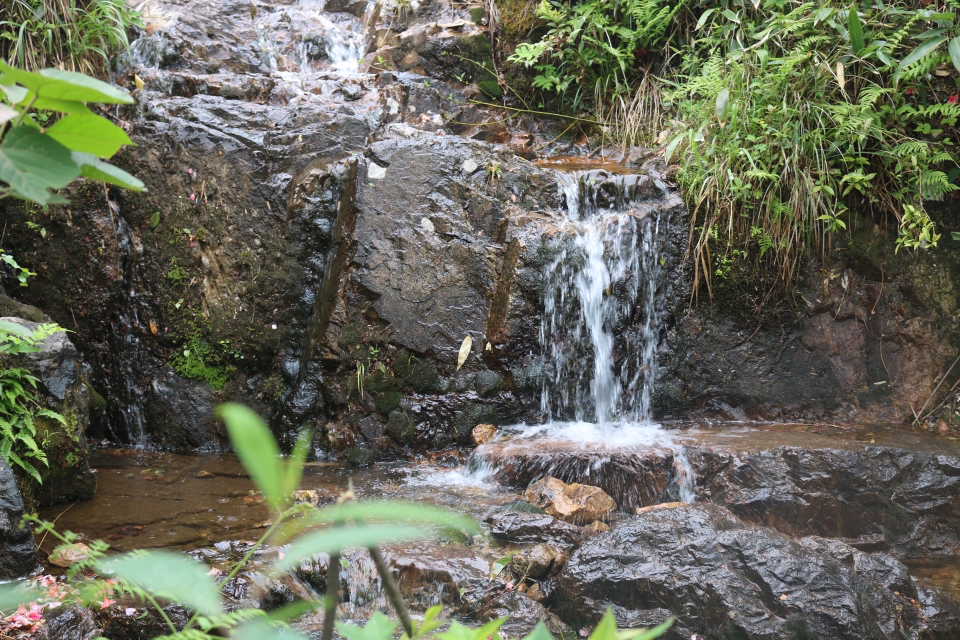 鸬鸟山沟沟图片