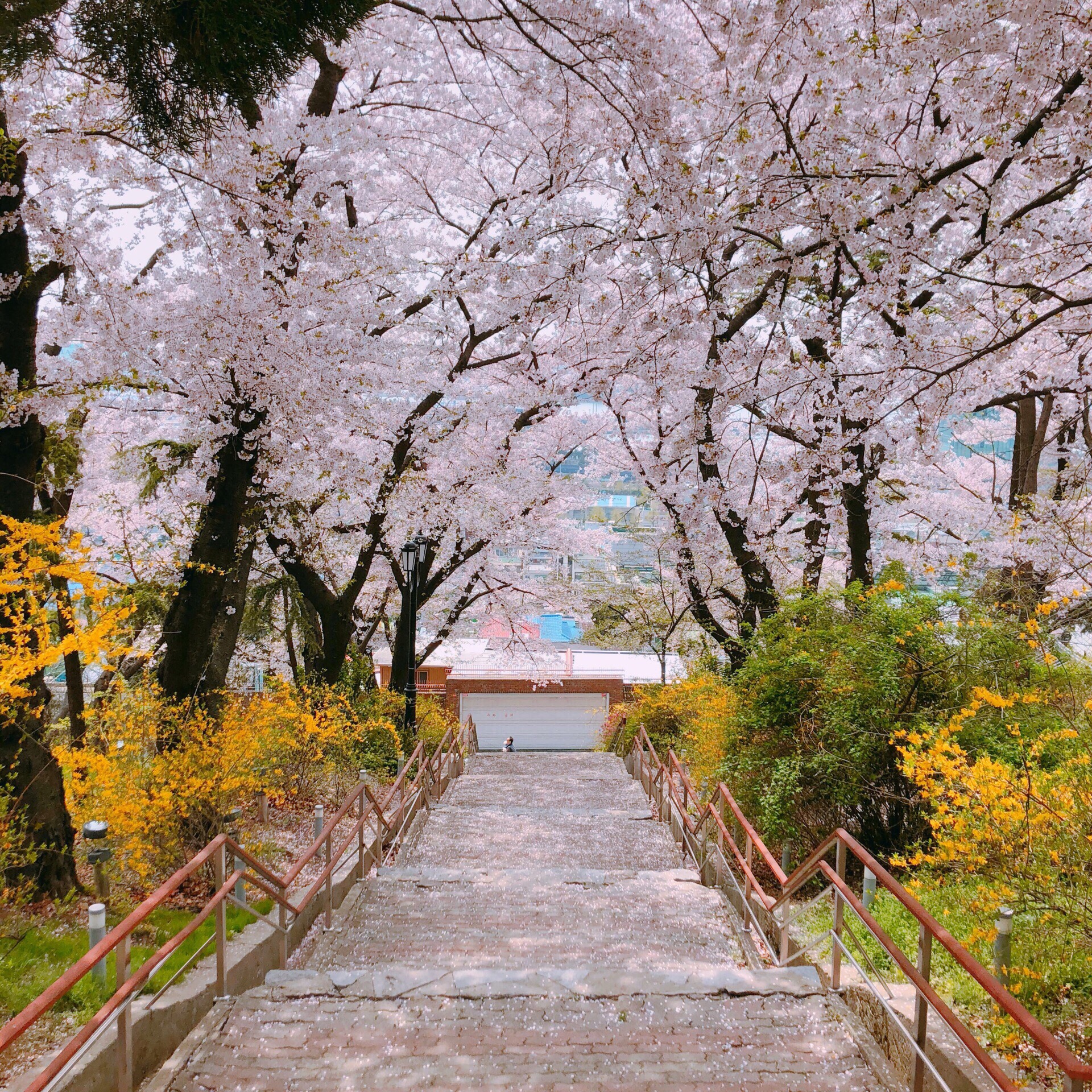 【携程攻略】仁川自由公园景点,带着妈妈去旅行 带妈妈来到了仁川的