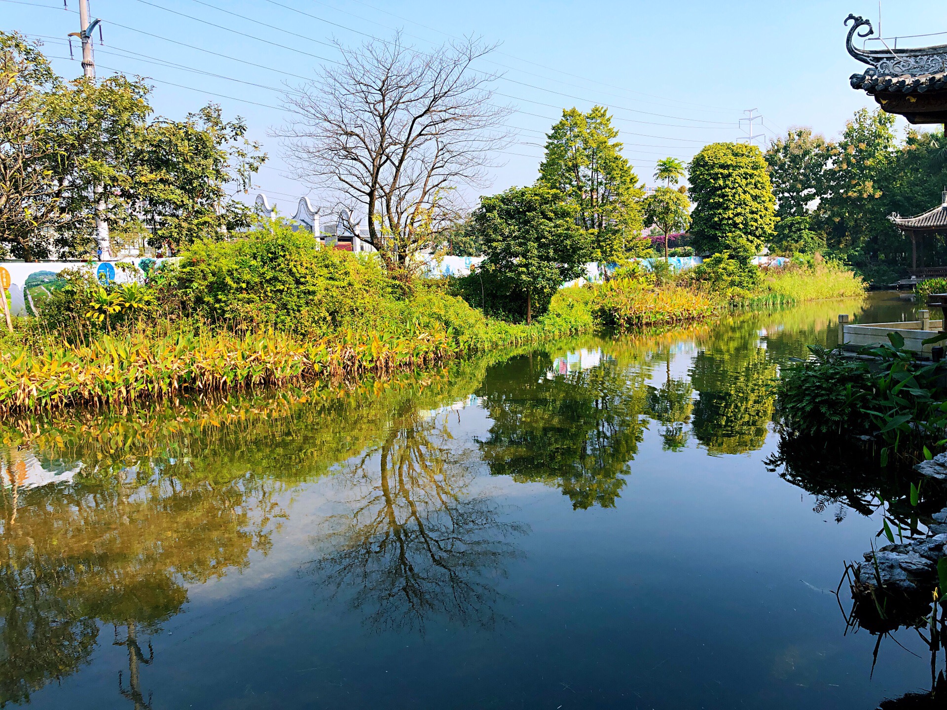 廣州海珠溼地公園好玩嗎,廣州海珠溼地公園景點怎麼樣_點評_評價